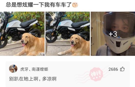 如果你是男生,你会娶谁? 如果你是男生,你会娶谁?