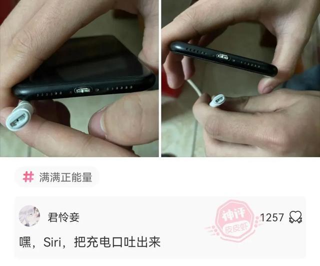 如果你是男生,你会娶谁? 如果你是男生,你会娶谁?