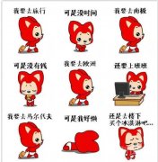 萌宠系列：我很懒