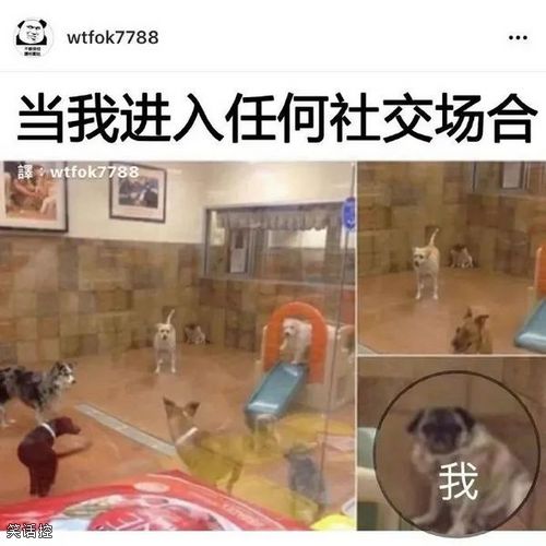 监控拆,懂? 监控拆,懂?