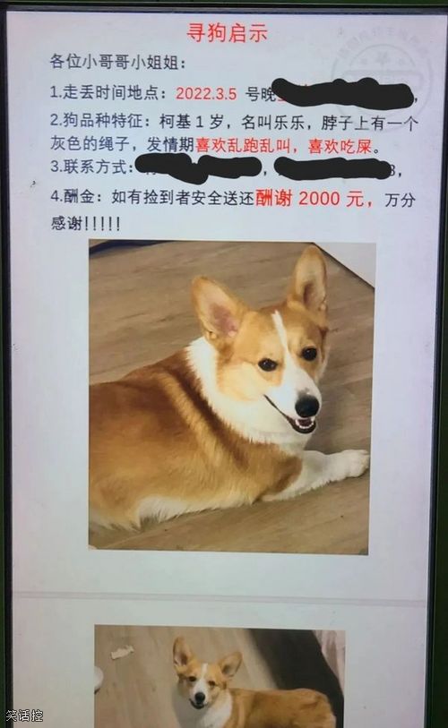 狗:我社死了 狗:我社死了