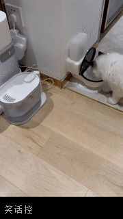 爱喝马桶水的喵 爱喝马桶水的喵