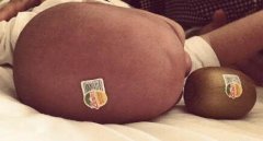 谢楠恶搞儿子 谢楠恶搞儿子