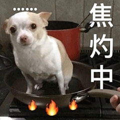 每日一刻:出事直接钻衣柜,老王这么好当吗? 每日一刻:出事直接钻衣柜,老王这么好当吗?