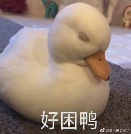 每日一刻:出事直接钻衣柜,老王这么好当吗? 每日一刻:出事直接钻衣柜,老王这么好当吗?
