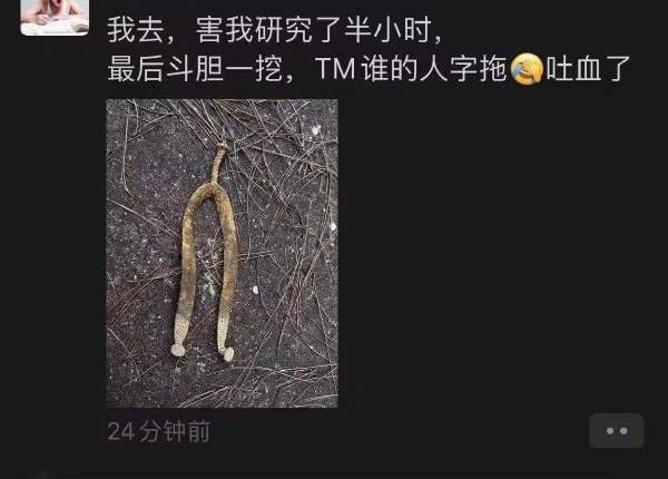 每日一刻：出事直接钻衣柜，老王这么好当吗？