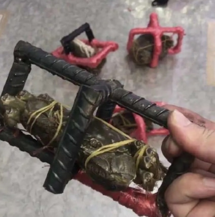每日一刻:出事直接钻衣柜,老王这么好当吗? 每日一刻:出事直接钻衣柜,老王这么好当吗?