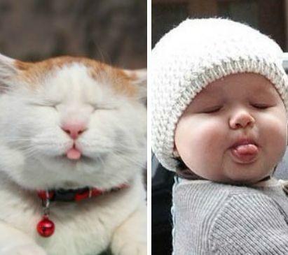 这画面太美了，