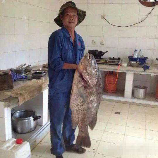 这几顿才能吃的完呀～