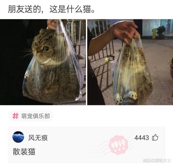 “女同事请我去她家里玩,她是喜欢上我了吧” “女同事请我去她家里玩,她是喜欢上我了吧”