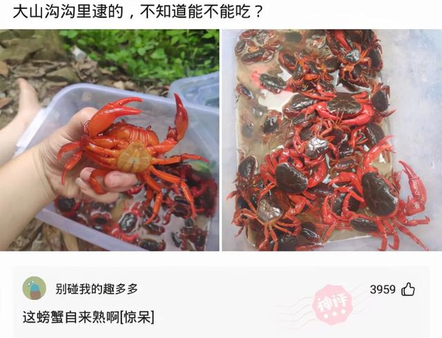 爆笑神回复:为什么女销售都喜欢穿丝袜? 爆笑神回复:为什么女销售都喜欢穿丝袜?