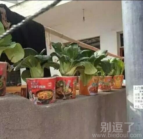 真是会废物利用呀 真是会废物利用呀
