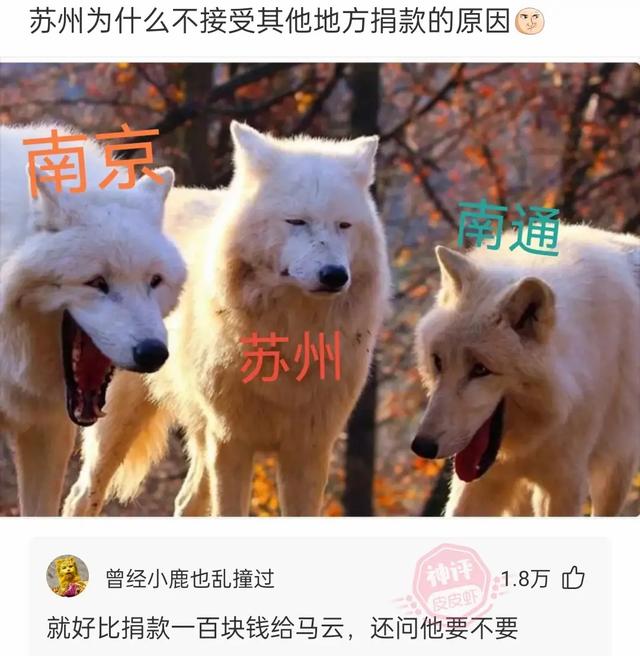 姑娘,你这衣服穿得也太任性了,就这么走在街上我都替你感到尴尬 姑娘,你这衣服穿得也太任性了,就这么走在街上我都替你感到尴尬