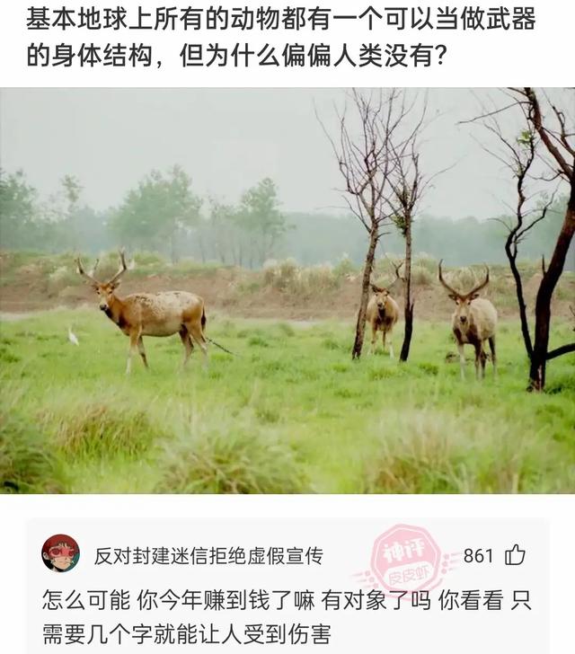 姑娘,你这衣服穿得也太任性了,就这么走在街上我都替你感到尴尬 姑娘,你这衣服穿得也太任性了,就这么走在街上我都替你感到尴尬