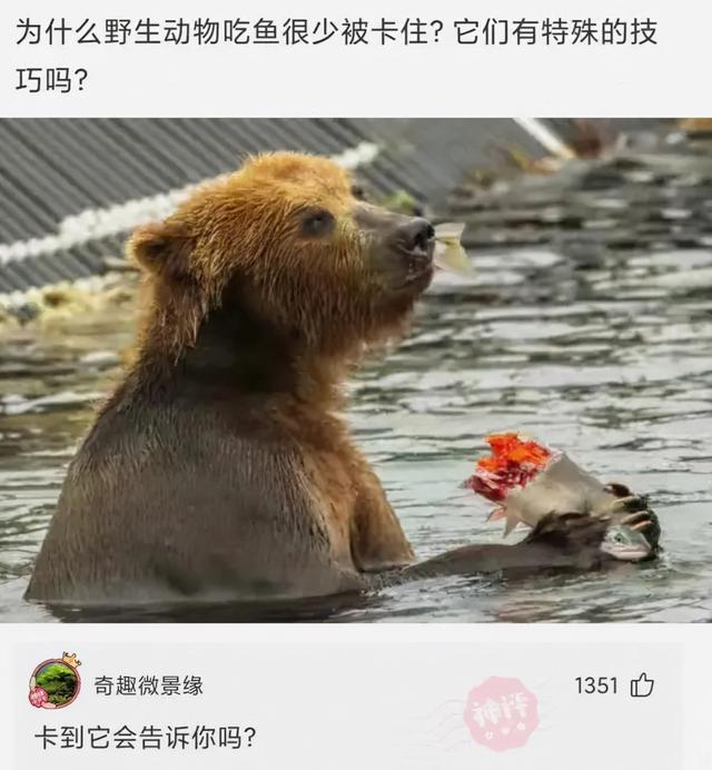姑娘,你这衣服穿得也太任性了,就这么走在街上我都替你感到尴尬 姑娘,你这衣服穿得也太任性了,就这么走在街上我都替你感到尴尬