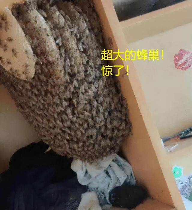 姑娘,你这衣服穿得也太任性了,就这么走在街上我都替你感到尴尬 姑娘,你这衣服穿得也太任性了,就这么走在街上我都替你感到尴尬