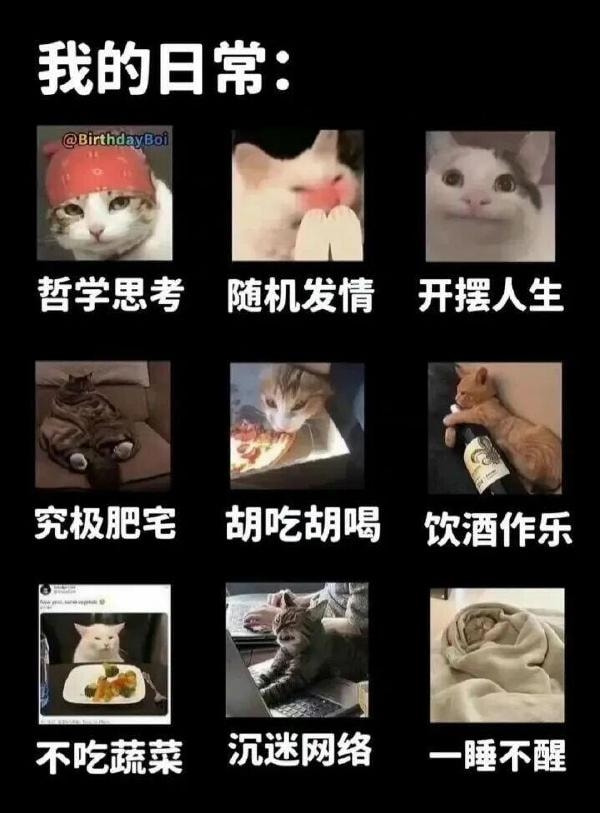 轻松一刻:资深足控乔装打扮,激情上演为爱发电! 轻松一刻:资深足控乔装打扮,激情上演为爱发电!
