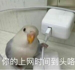 轻松一刻:资深足控乔装打扮,激情上演为爱发电! 轻松一刻:资深足控乔装打扮,激情上演为爱发电!