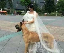 妹纸你这是要跟汪星人结连理吗？