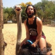 屌丝与鸵鸟神同步