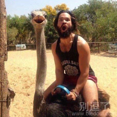 屌丝与鸵鸟神同步