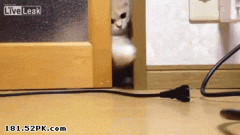 当东西掉进墙缝够不着时的你