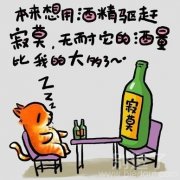 本来想用酒精驱赶寂寞