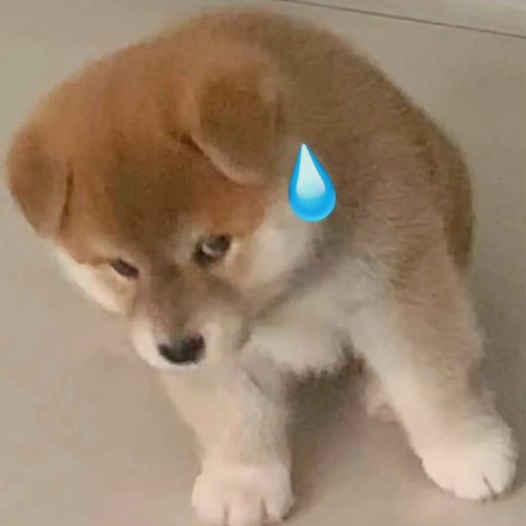 轻松一刻:谁能想到,我竟然会羡慕一只猫 轻松一刻:谁能想到,我竟然会羡慕一只猫