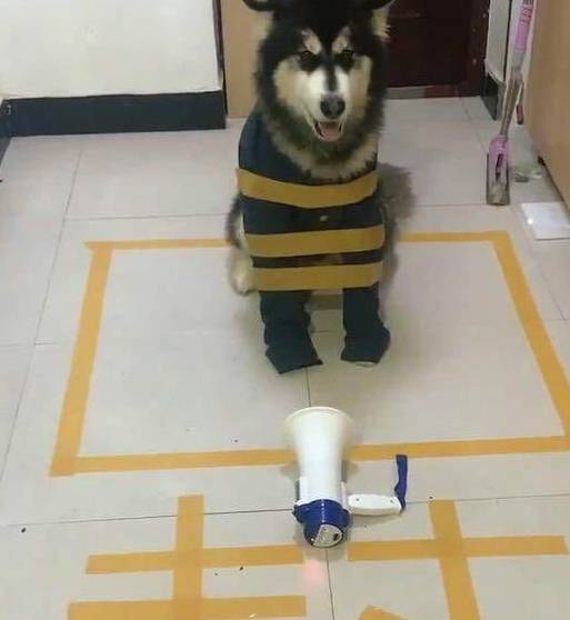轻松一刻:谁能想到,我竟然会羡慕一只猫 轻松一刻:谁能想到,我竟然会羡慕一只猫