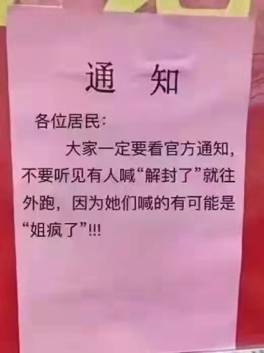 轻松一刻：谁能想到，我竟然会羡慕一只猫