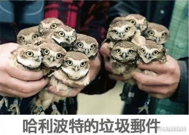 “10分钟看我8次,这下终于抓包了!”都是腿惹的啊,哈哈哈 “10分钟看我8次,这下终于抓包了!”都是腿惹的啊,哈哈哈