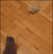 敢在我面前得瑟，吃我一记夺命剪刀脚