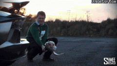 普通烤肉 普通烤肉