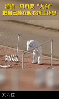 有趣的灵魂 有趣的灵魂