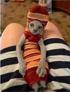 袜子还可以这样用 袜子还可以这样用