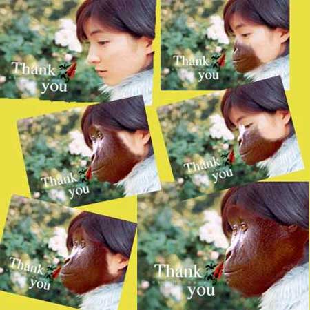 搞笑图片之被修理过的女人