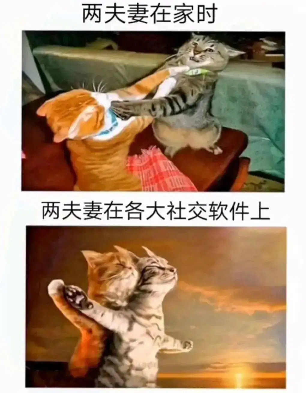 轻松一刻:包养的鸭子突然跑路,有钱人生活不堪入目! 轻松一刻:包养的鸭子突然跑路,有钱人生活不堪入目!
