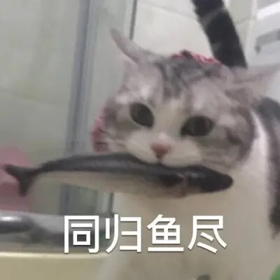 轻松一刻:包养的鸭子突然跑路,有钱人生活不堪入目! 轻松一刻:包养的鸭子突然跑路,有钱人生活不堪入目!