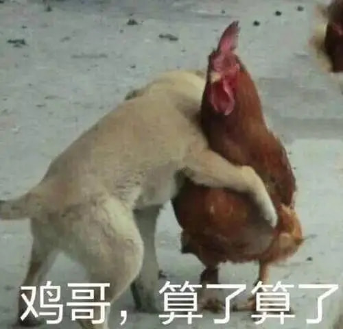 轻松一刻:包养的鸭子突然跑路,有钱人生活不堪入目! 轻松一刻:包养的鸭子突然跑路,有钱人生活不堪入目!