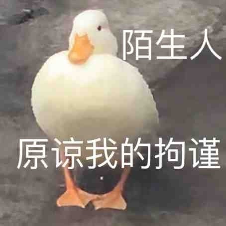 轻松一刻:包养的鸭子突然跑路,有钱人生活不堪入目! 轻松一刻:包养的鸭子突然跑路,有钱人生活不堪入目!