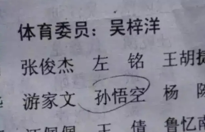轻松一刻:包养的鸭子突然跑路,有钱人生活不堪入目! 轻松一刻:包养的鸭子突然跑路,有钱人生活不堪入目!