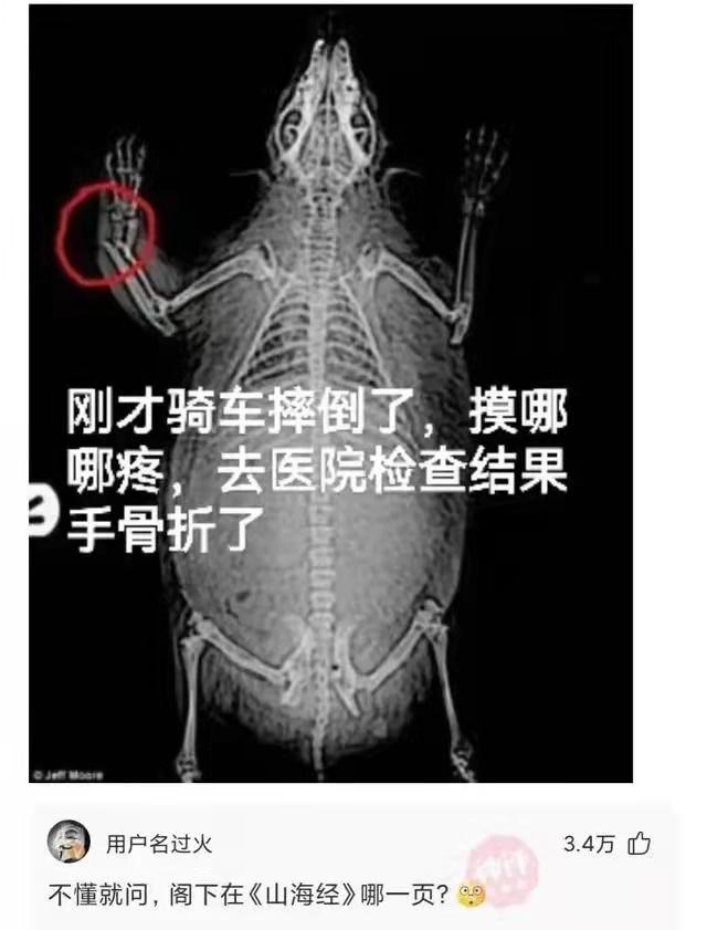 你是怎样看待骨灰撒海的?你愿意死后自己骨灰撒海吗?神回复 你是怎样看待骨灰撒海的?你愿意死后自己骨灰撒海吗?神回复
