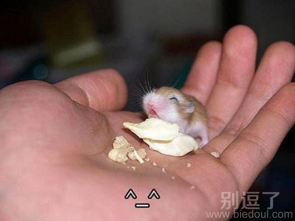 哈哈,太开心了都是我的! 哈哈,太开心了都是我的!