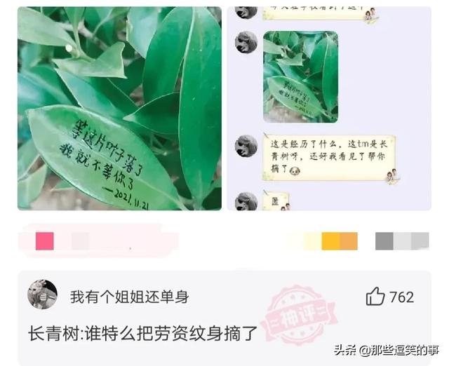 穿裙子的不一定是淑女,看看她们就知道了,自己也不觉得尴尬 穿裙子的不一定是淑女,看看她们就知道了,自己也不觉得尴尬