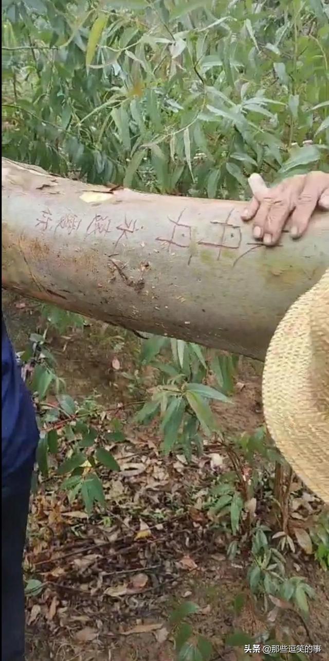 穿裙子的不一定是淑女,看看她们就知道了,自己也不觉得尴尬 穿裙子的不一定是淑女,看看她们就知道了,自己也不觉得尴尬