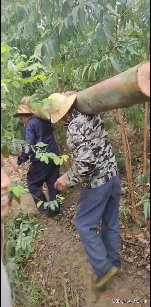 穿裙子的不一定是淑女，看看她们就知道了，自己也不觉得尴尬