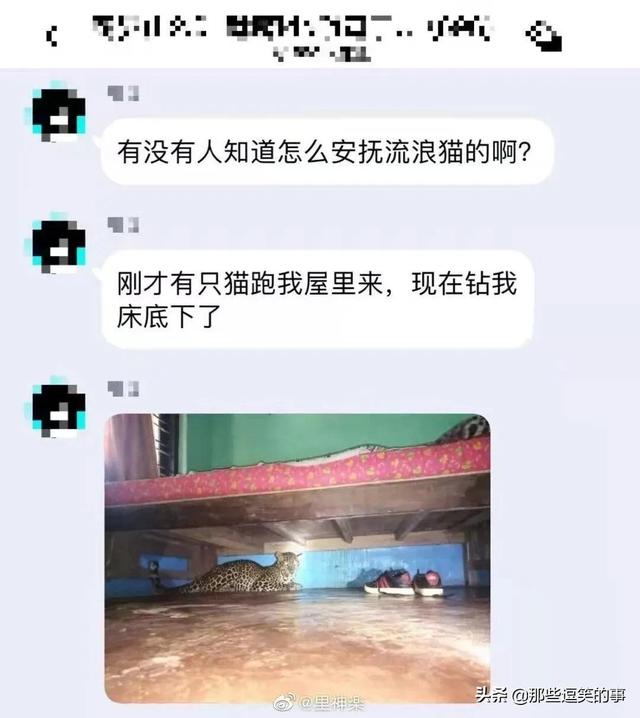 穿裙子的不一定是淑女,看看她们就知道了,自己也不觉得尴尬 穿裙子的不一定是淑女,看看她们就知道了,自己也不觉得尴尬