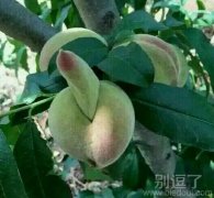 在他出生之前发生了什么