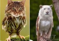 快看，我是不是长翅膀了