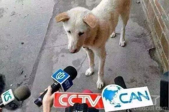 七夕快到了，今天在路边被采访了